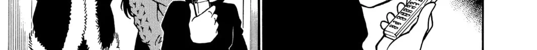 Read Case Closed chapter 244 image 25 on Lezhin