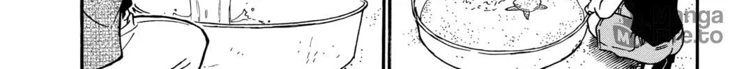Read Case Closed chapter 313 image 19 on Lezhin