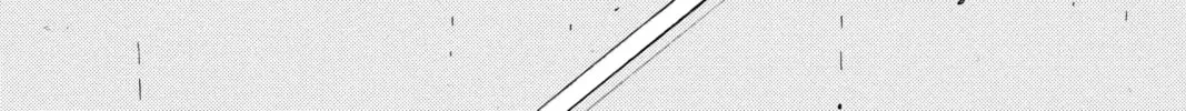 Read Case Closed chapter 460 image 1 on Lezhin