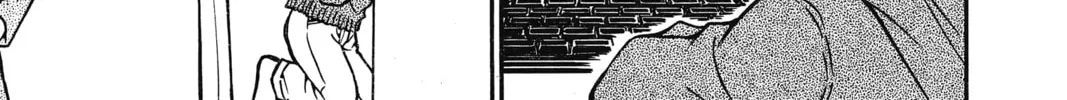 Read Case Closed chapter 514 image 13 on Lezhin