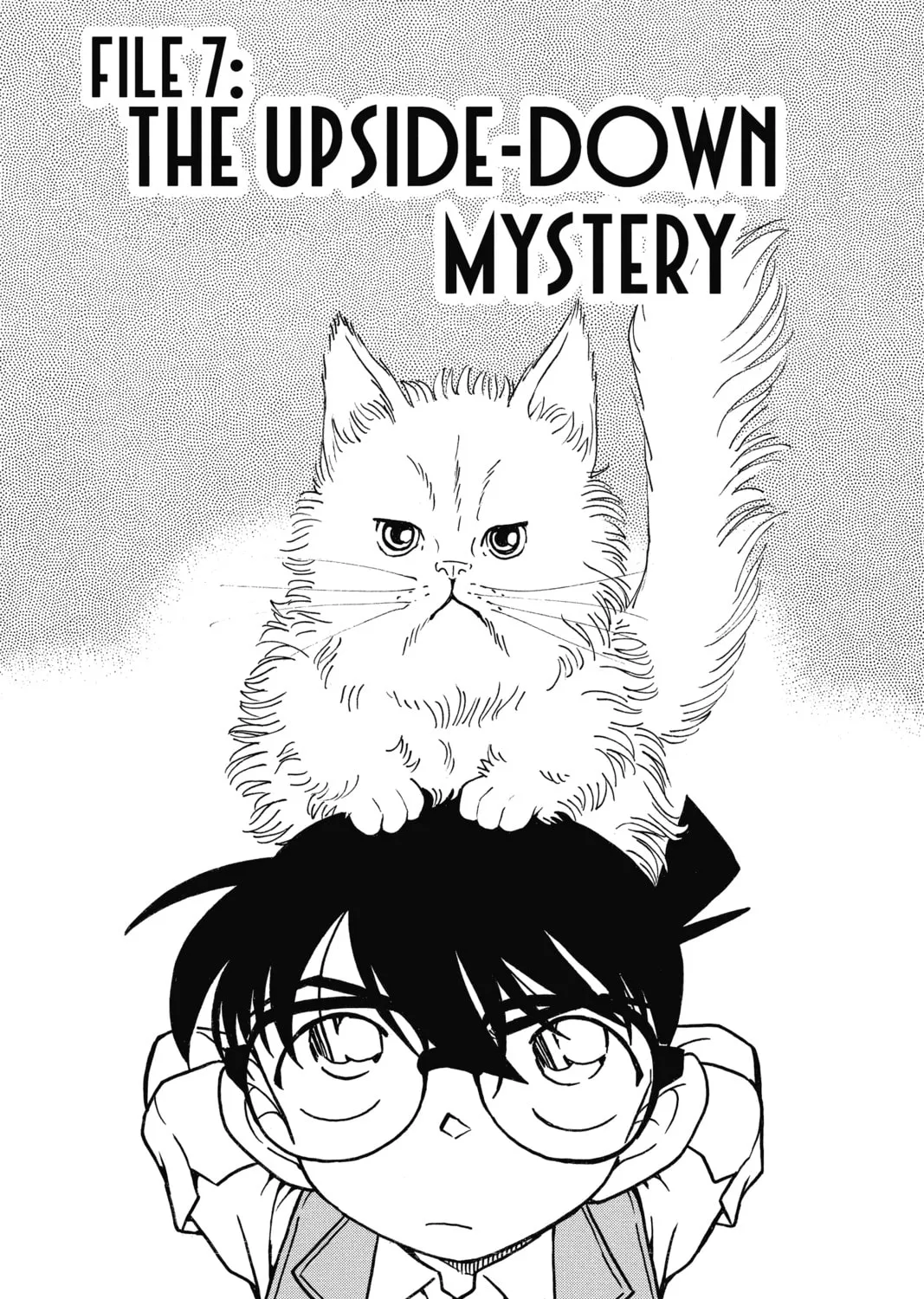 Read Case Closed chapter 539 image 0 on Lezhin
