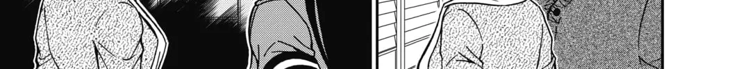 Read Case Closed chapter 847 image 25 on Lezhin