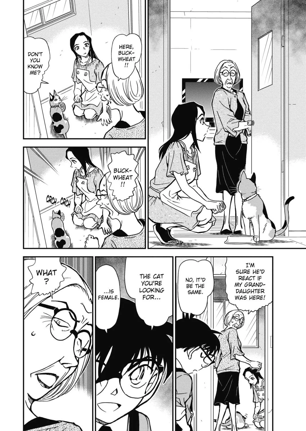 Read Case Closed chapter 866 image 10 on Lezhin