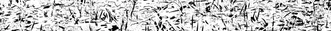 Read Case Closed chapter 961 image 1 on Lezhin