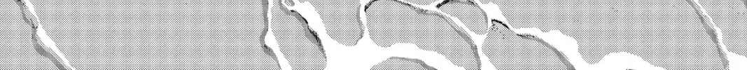 Read Case Closed chapter 974 image 1 on Lezhin