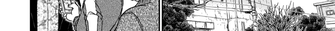 Read Case Closed chapter 985 image 27 on Lezhin