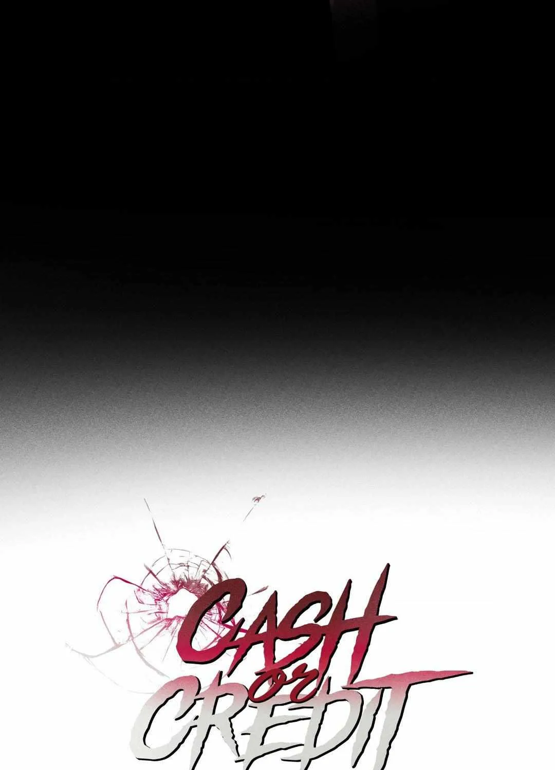 Cash or Credit Chapter 5 page 11 - 