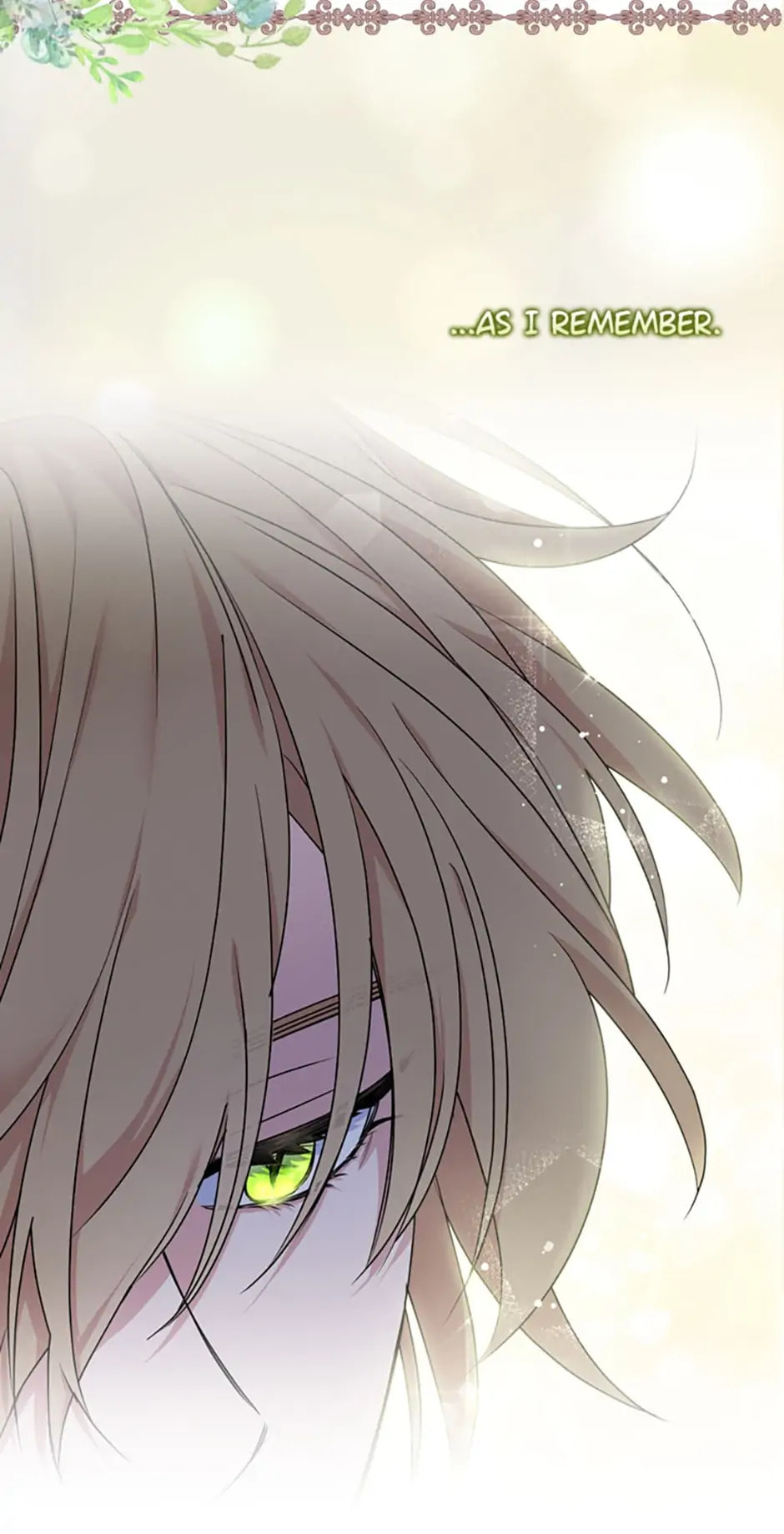 Read Cassmire: The Loyal Sword chapter 41.3 image 42 on Lezhin