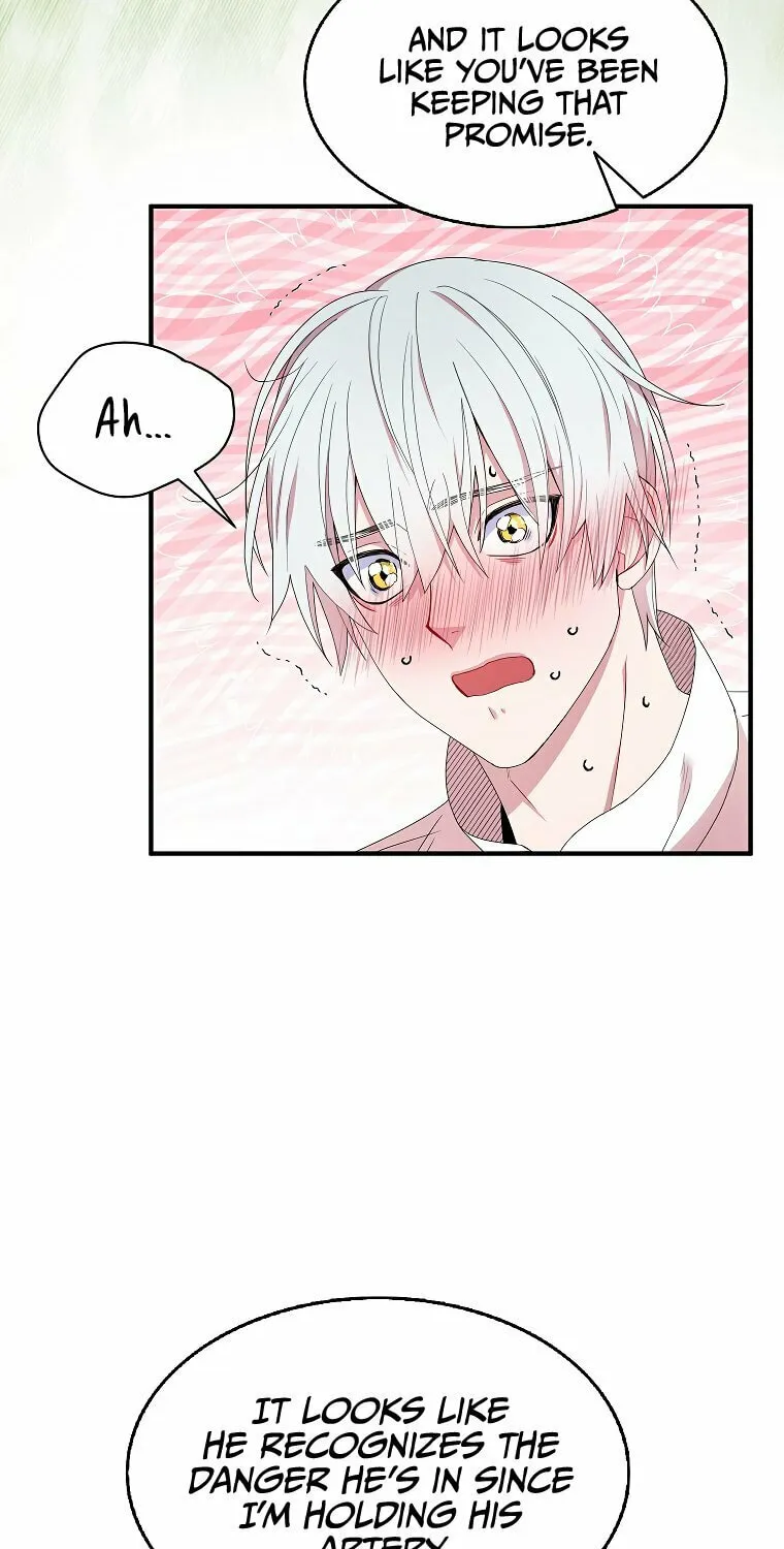 Read Cassmire: The Loyal Sword chapter 41 image 46 on Lezhin