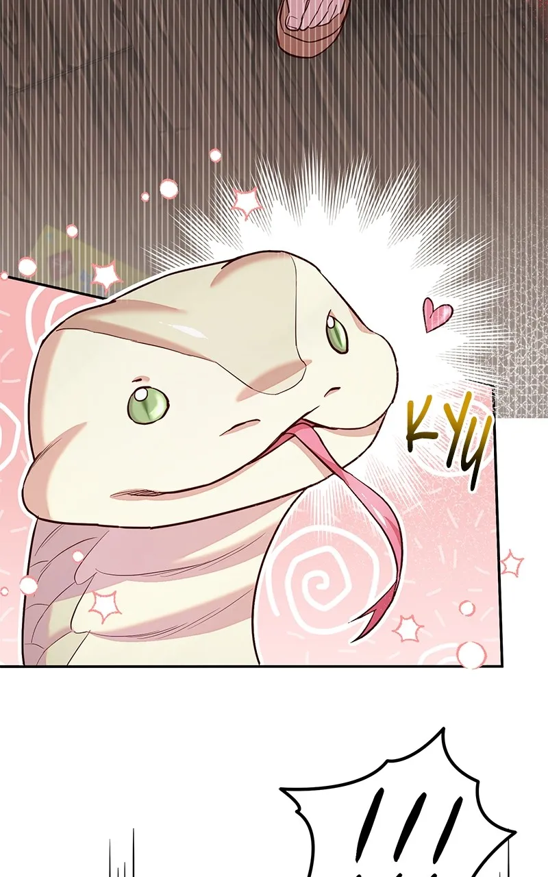 Read Castaway Marriage chapter 2 image 102 on Lezhin