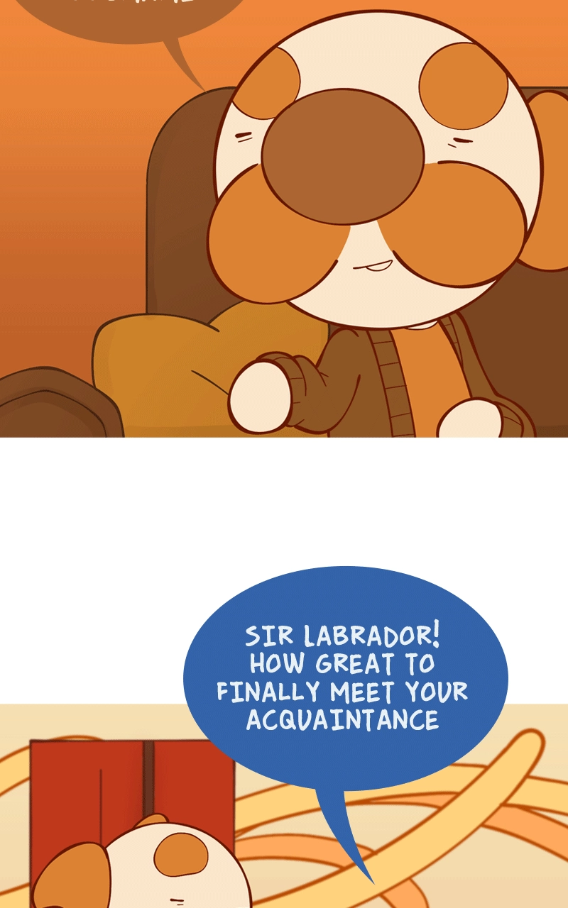 Read Cat and Dog chapter 103 image 6 on Lezhin