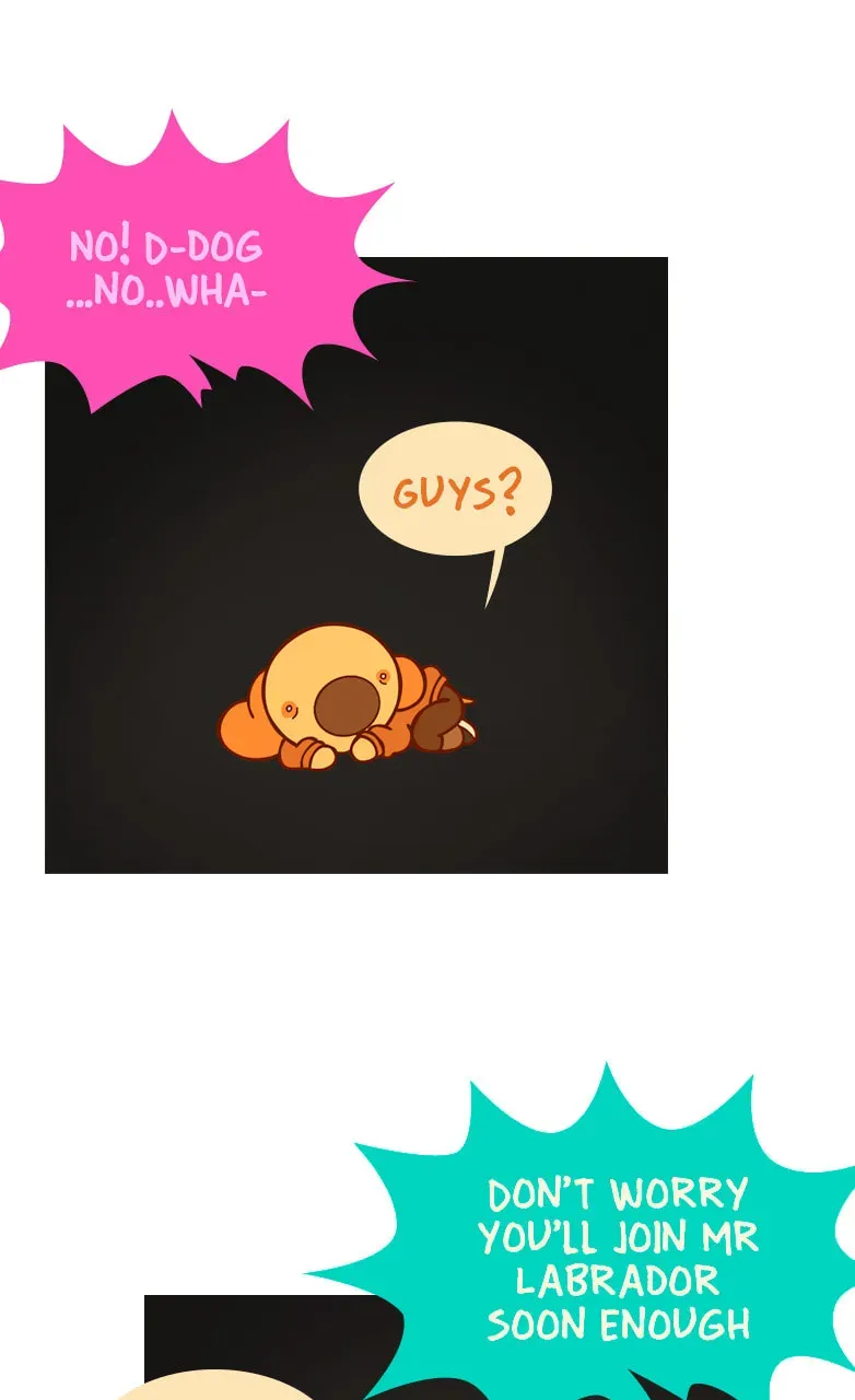 Read Cat and Dog chapter 47 image 13 on Lezhin