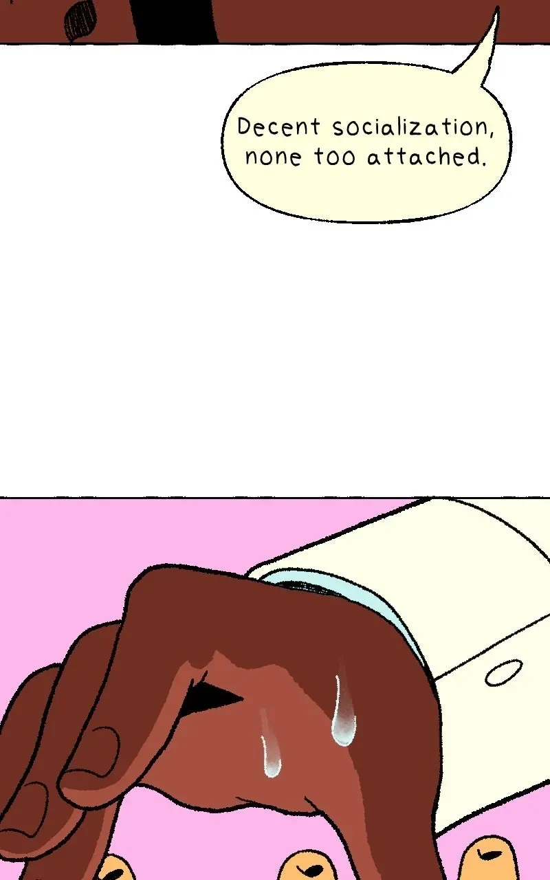 Read Cat Girl chapter 22 image 31 on Lezhin