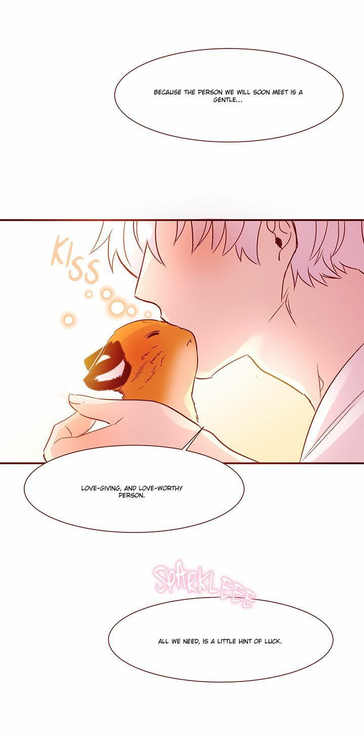 Read Cat in a Cardboard Box chapter 1 image 2 on Lezhin