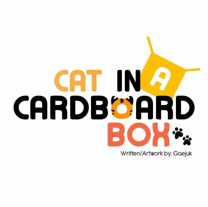 Read Cat in a Cardboard Box chapter 1 image 3 on Lezhin