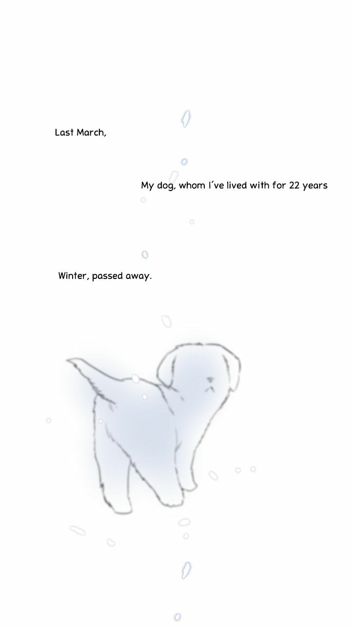 Read Cat in a Cardboard Box chapter 1 image 5 on Lezhin