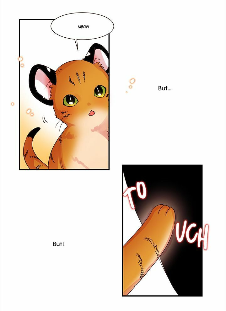 Read Cat in a Cardboard Box chapter 1 image 7 on Lezhin