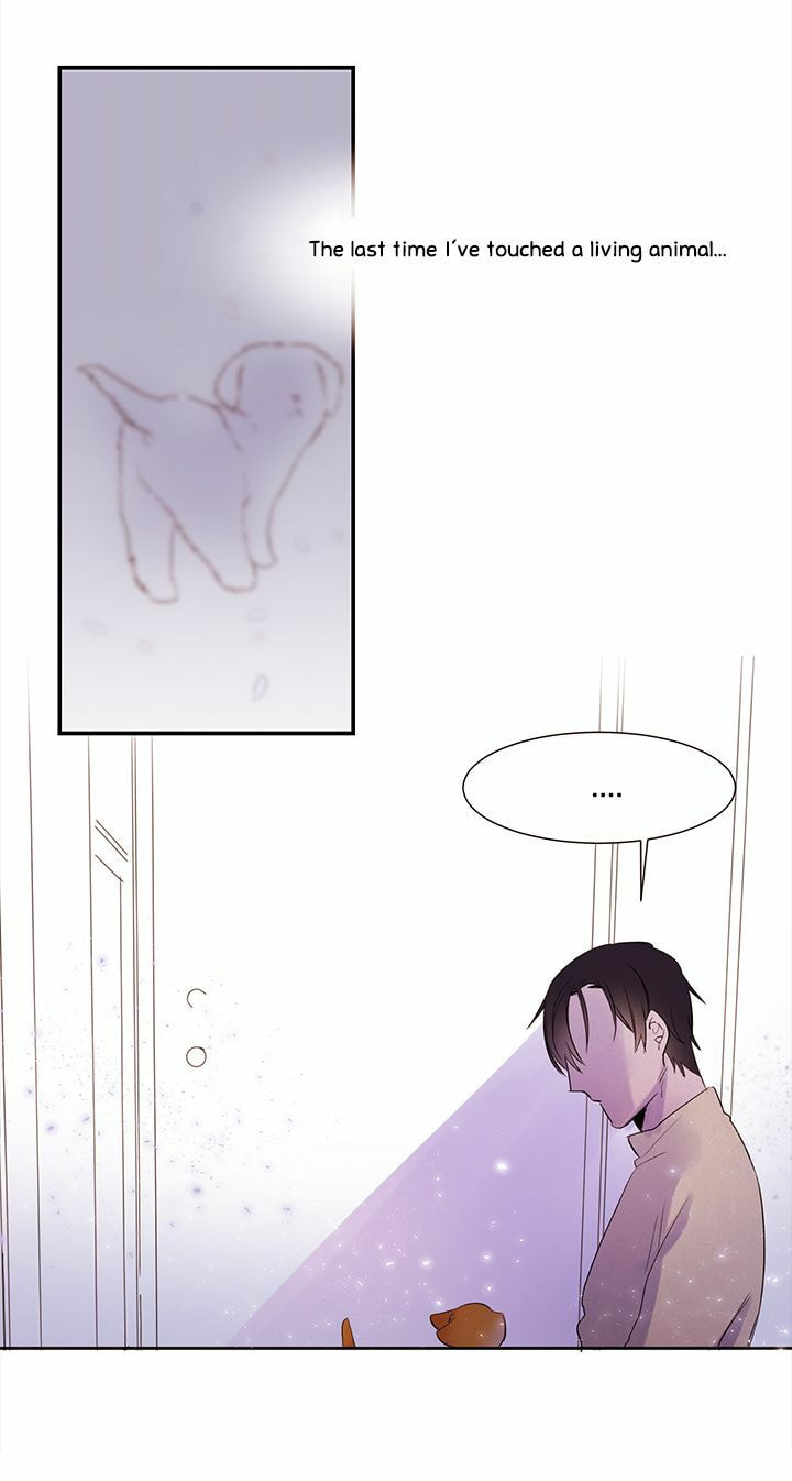 Read Cat in a Cardboard Box chapter 1 image 8 on Lezhin