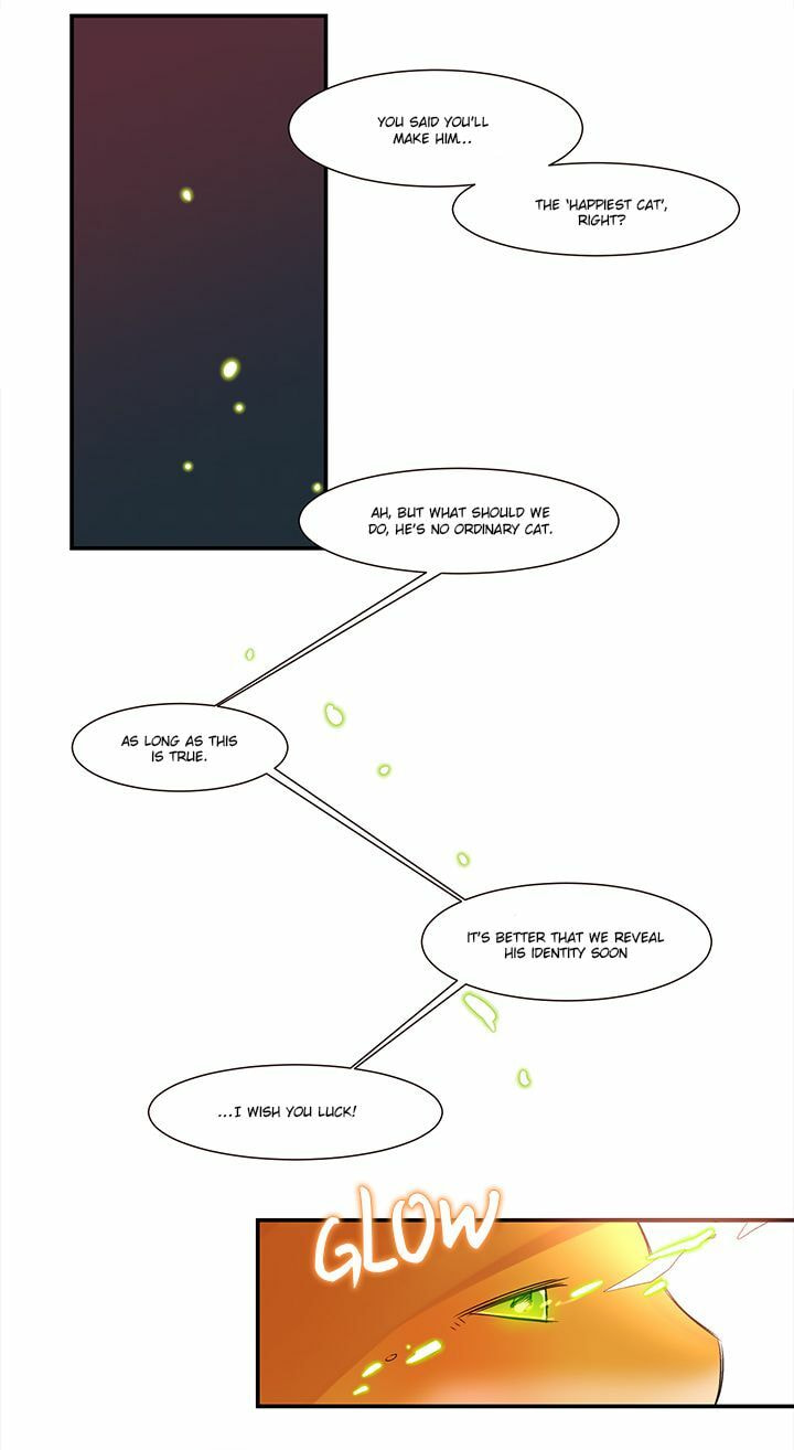 Read Cat in a Cardboard Box chapter 1 image 9 on Lezhin