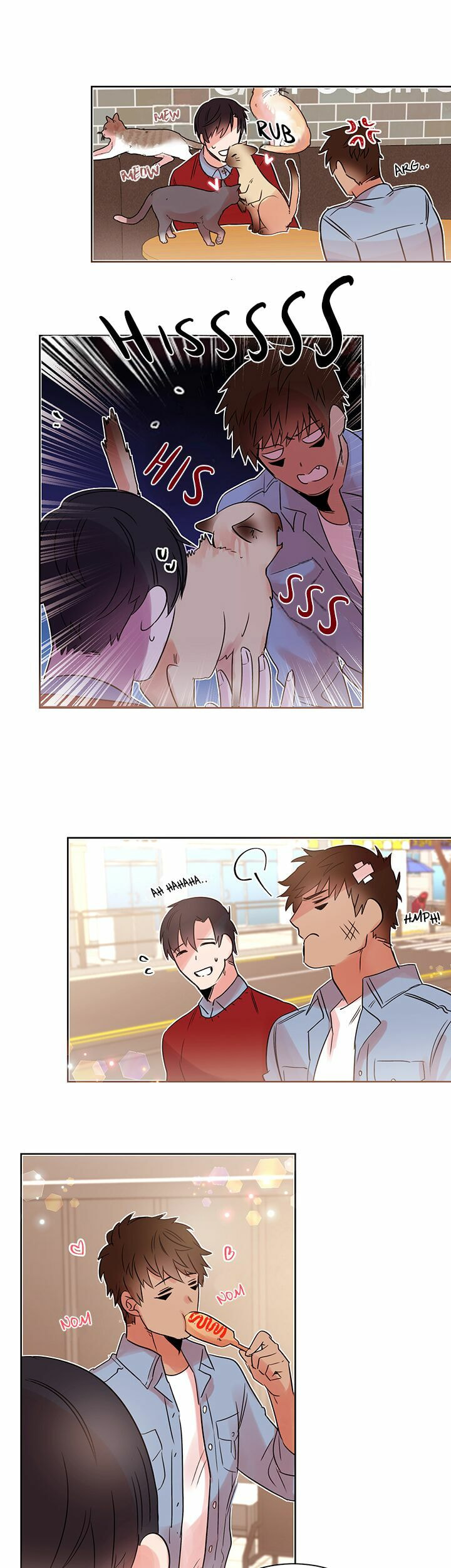 Read Cat in a Cardboard Box chapter 10 image 16 on Lezhin