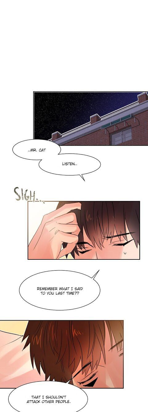 Read Cat in a Cardboard Box chapter 11 image 18 on Lezhin