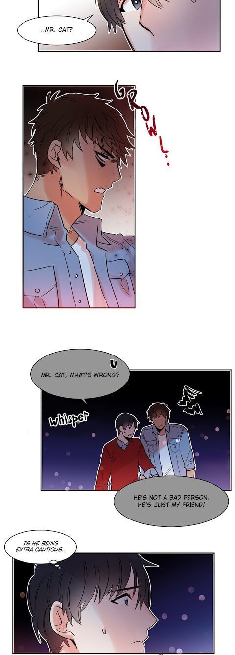 Read Cat in a Cardboard Box chapter 11 image 5 on Lezhin
