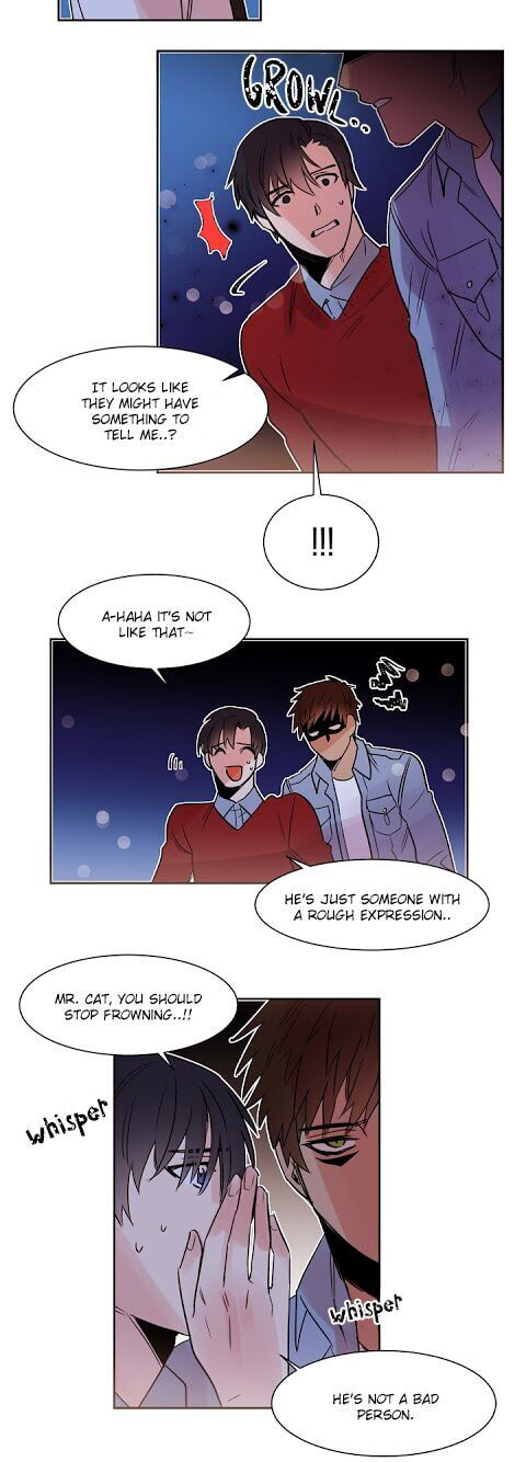 Read Cat in a Cardboard Box chapter 11 image 9 on Lezhin