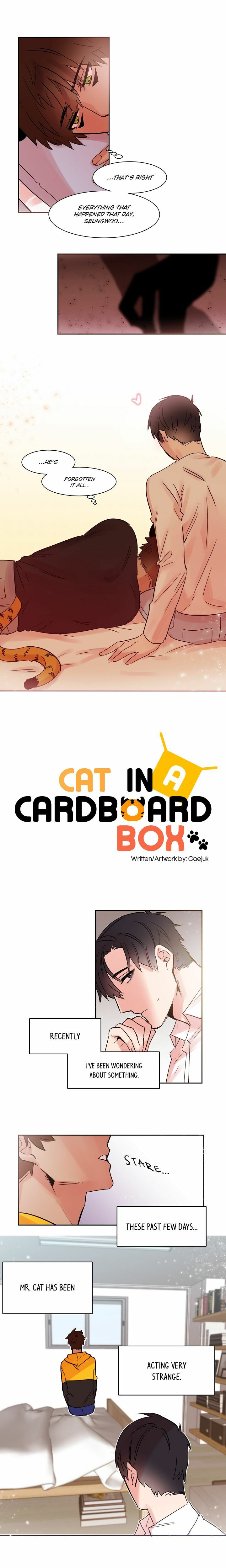 Read Cat in a Cardboard Box chapter 12 image 2 on Lezhin