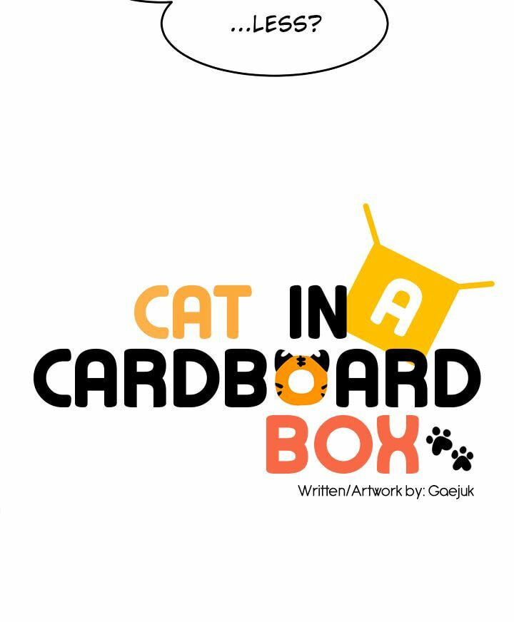 Read Cat in a Cardboard Box chapter 16 image 22 on Lezhin