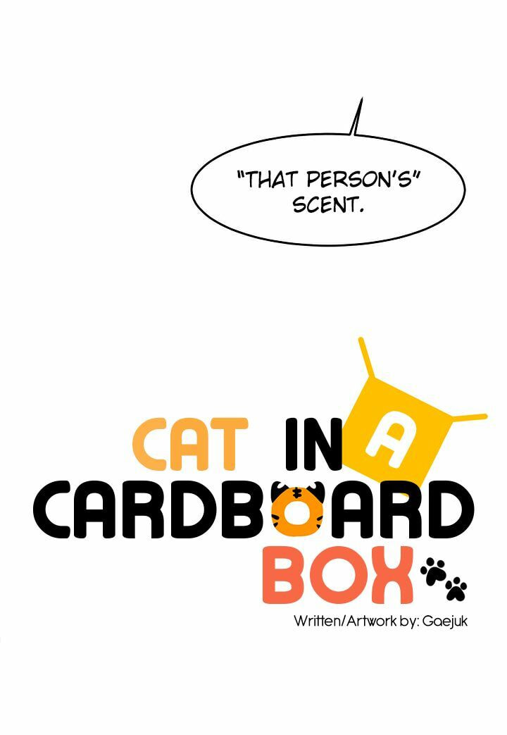 Read Cat in a Cardboard Box chapter 17 image 22 on Lezhin