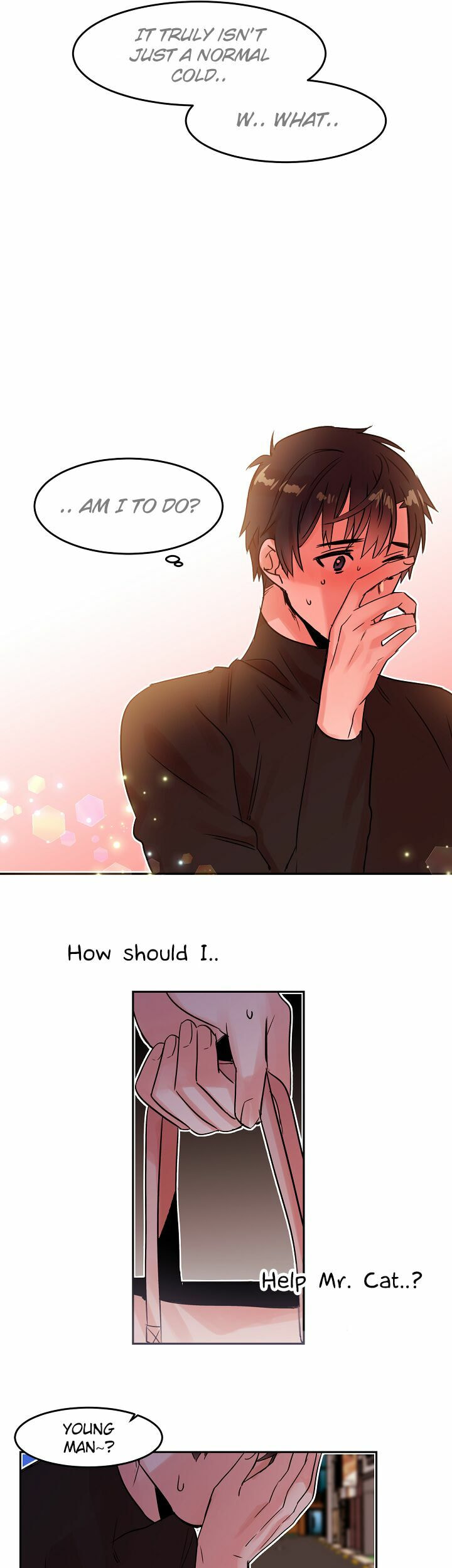 Read Cat in a Cardboard Box chapter 19 image 14 on Lezhin
