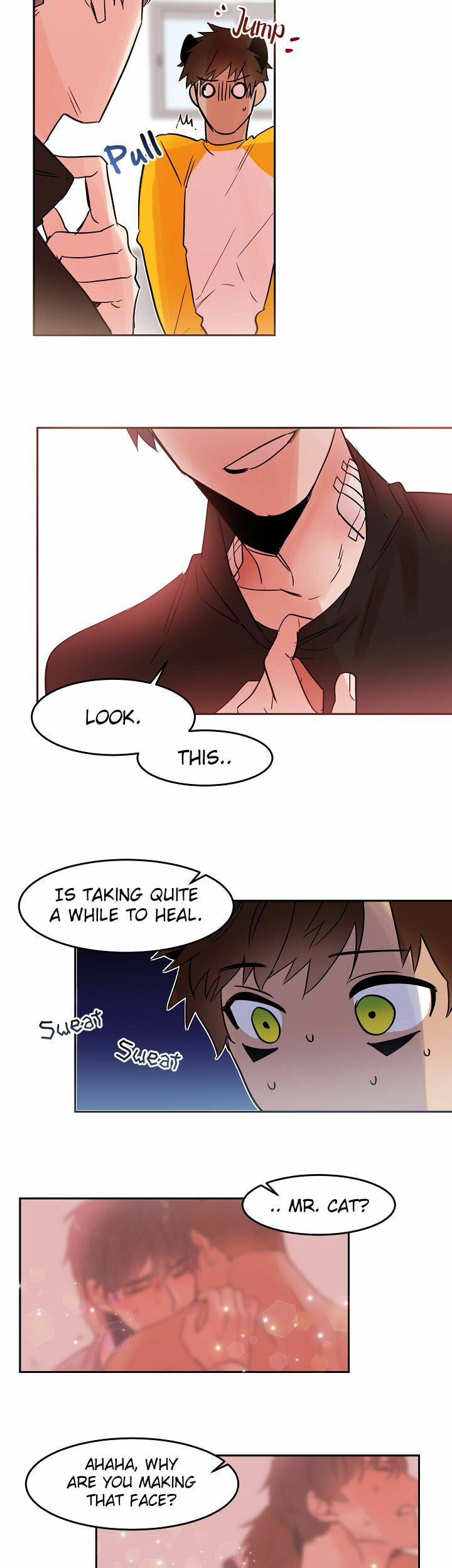 Read Cat in a Cardboard Box chapter 19 image 5 on Lezhin