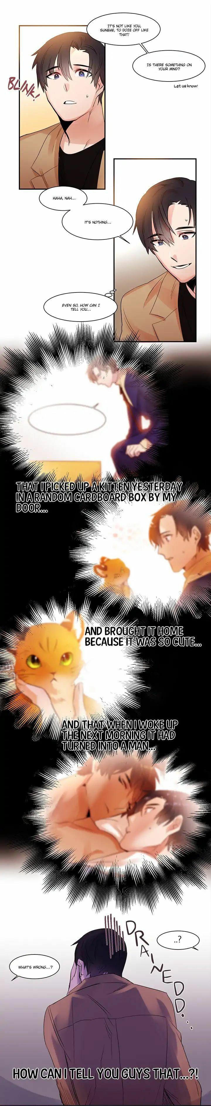 Read Cat in a Cardboard Box chapter 2 image 10 on Lezhin