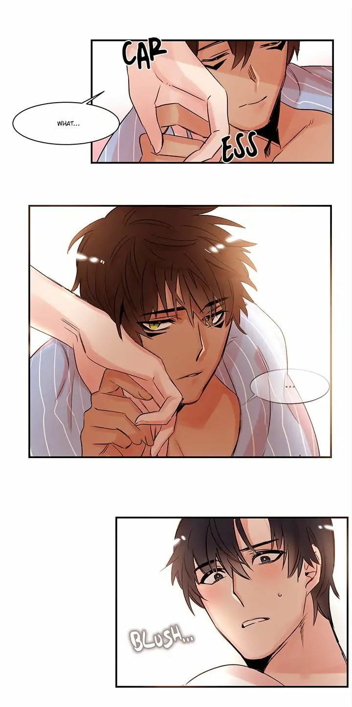 Read Cat in a Cardboard Box chapter 2 image 4 on Lezhin