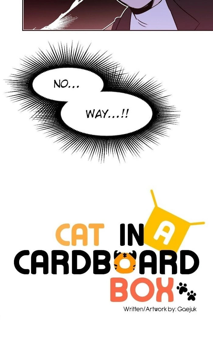 Read Cat in a Cardboard Box chapter 21 image 23 on Lezhin