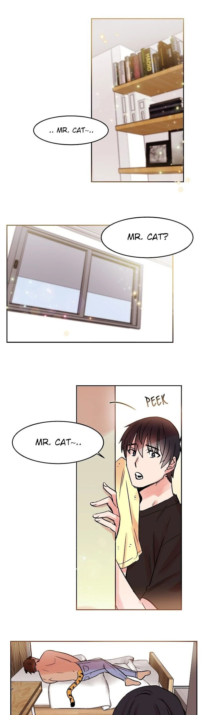 Read Cat in a Cardboard Box chapter 25 image 2 on Lezhin
