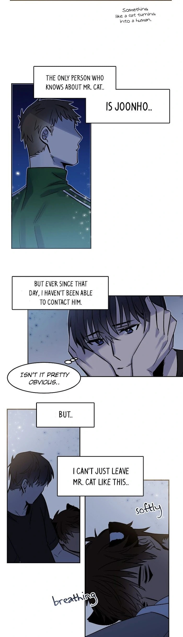 Read Cat in a Cardboard Box chapter 26 image 3 on Lezhin