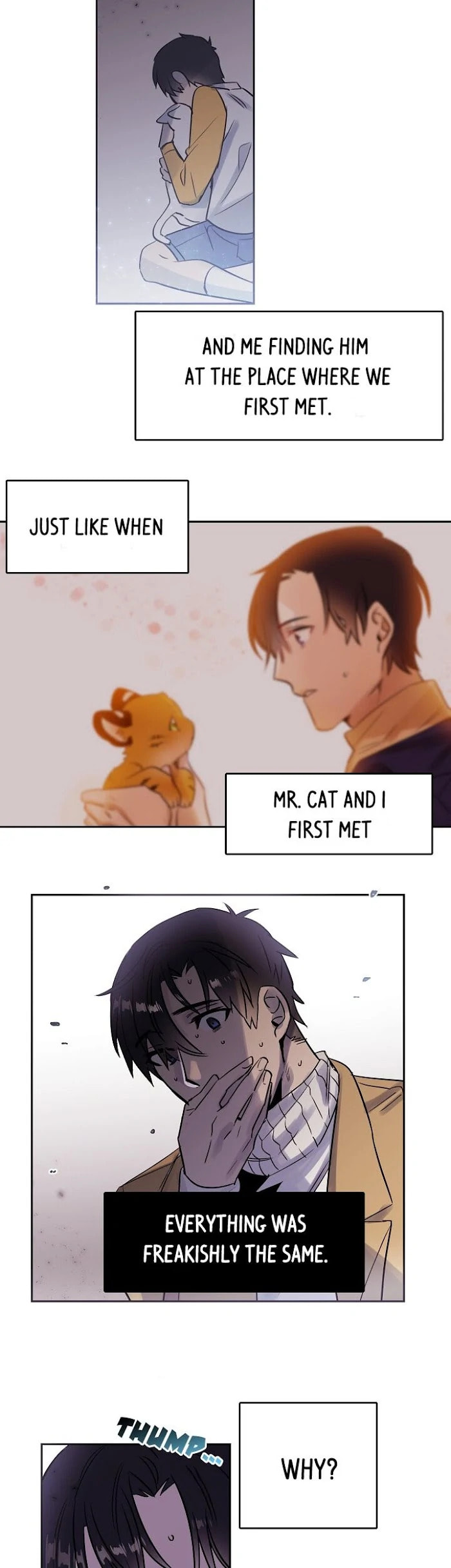 Read Cat in a Cardboard Box chapter 27 image 17 on Lezhin
