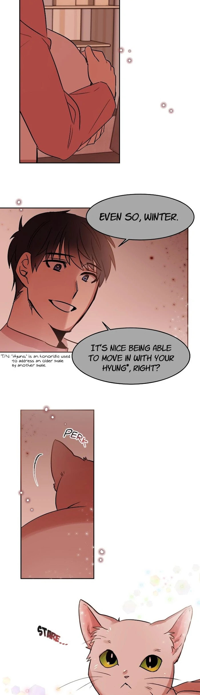 Read Cat in a Cardboard Box chapter 27 image 9 on Lezhin