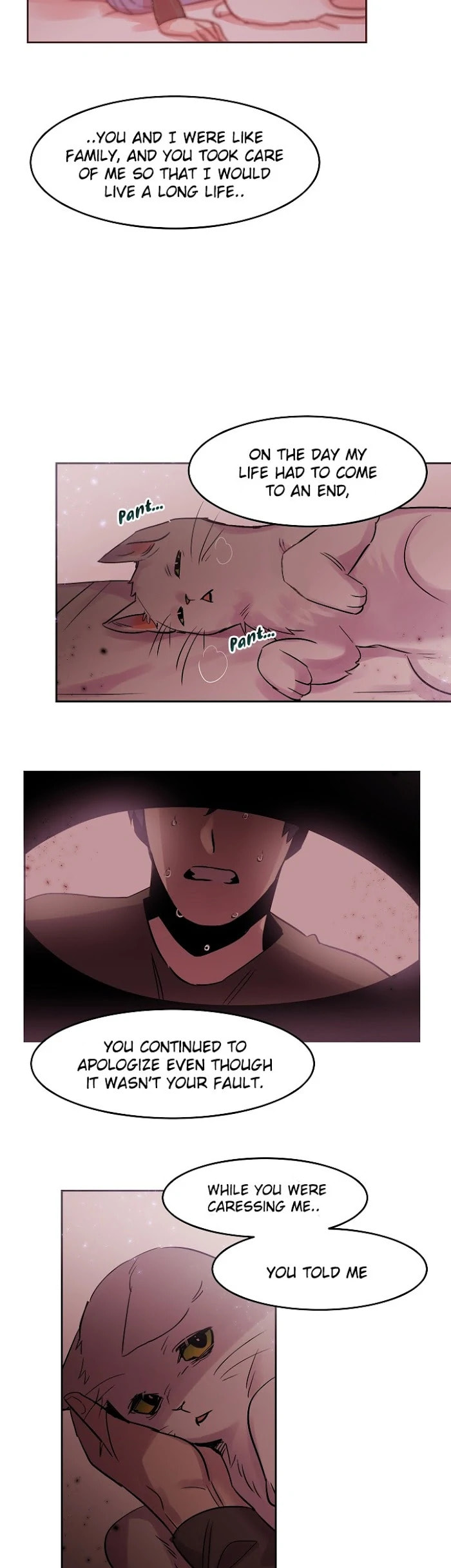 Read Cat in a Cardboard Box chapter 28 image 12 on Lezhin