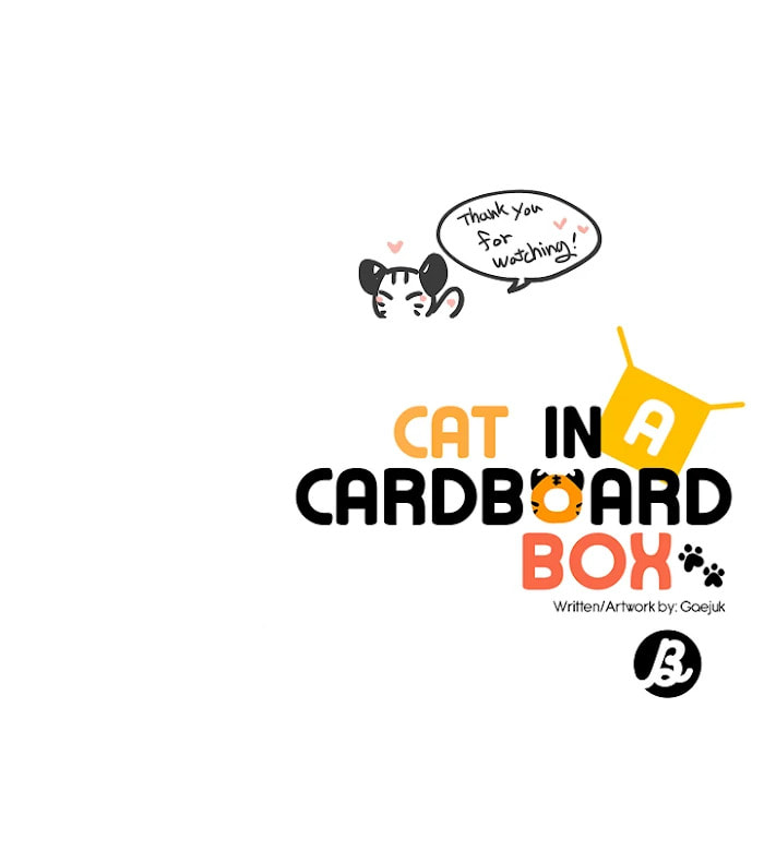 Read Cat in a Cardboard Box chapter 30 image 23 on Lezhin