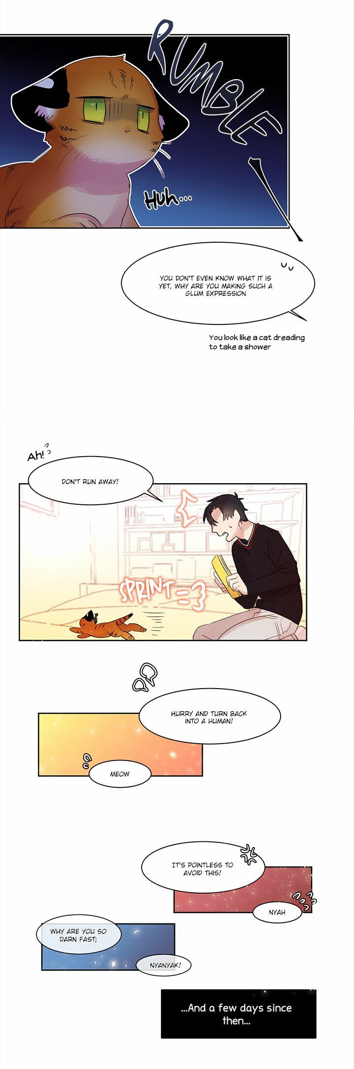 Read Cat in a Cardboard Box chapter 4 image 8 on Lezhin