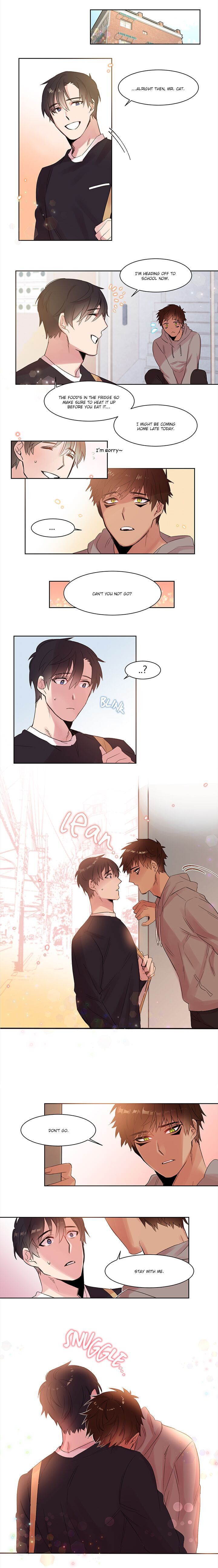 Read Cat in a Cardboard Box chapter 5 image 2 on Lezhin