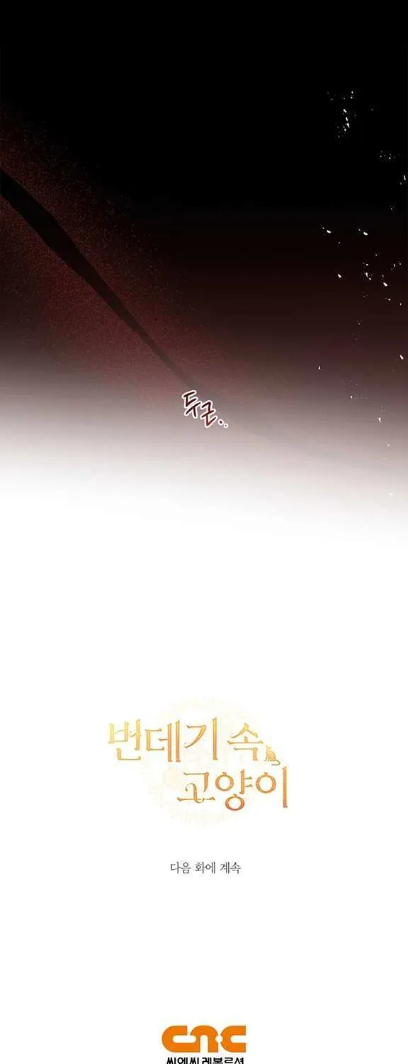 Read Cat in the Chrysalis chapter 17 image 58 on Lezhin