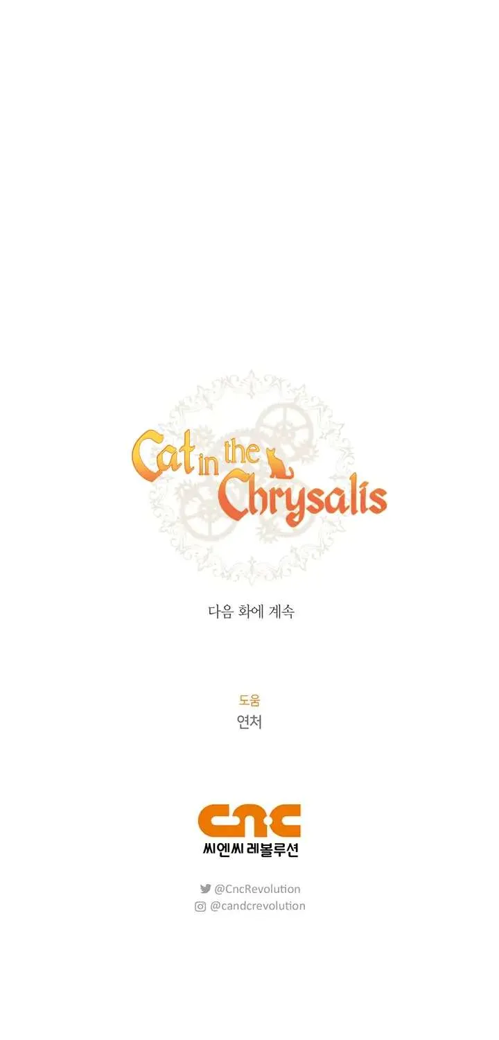 Read Cat in the Chrysalis chapter 26 image 65 on Lezhin
