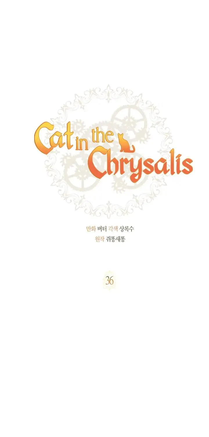 Read Cat in the Chrysalis chapter 36 image 27 on Lezhin