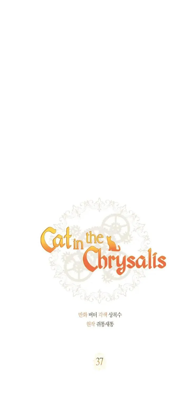 Read Cat in the Chrysalis chapter 37 image 12 on Lezhin
