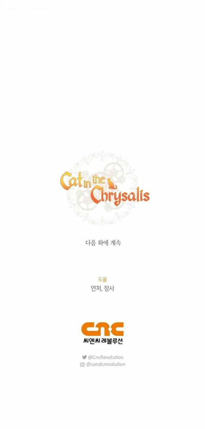 Read Cat in the Chrysalis chapter 37 image 77 on Lezhin