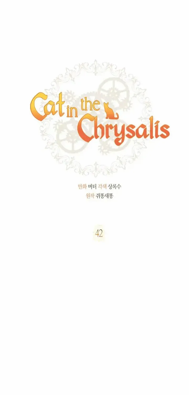 Read Cat in the Chrysalis chapter 42 image 11 on Lezhin