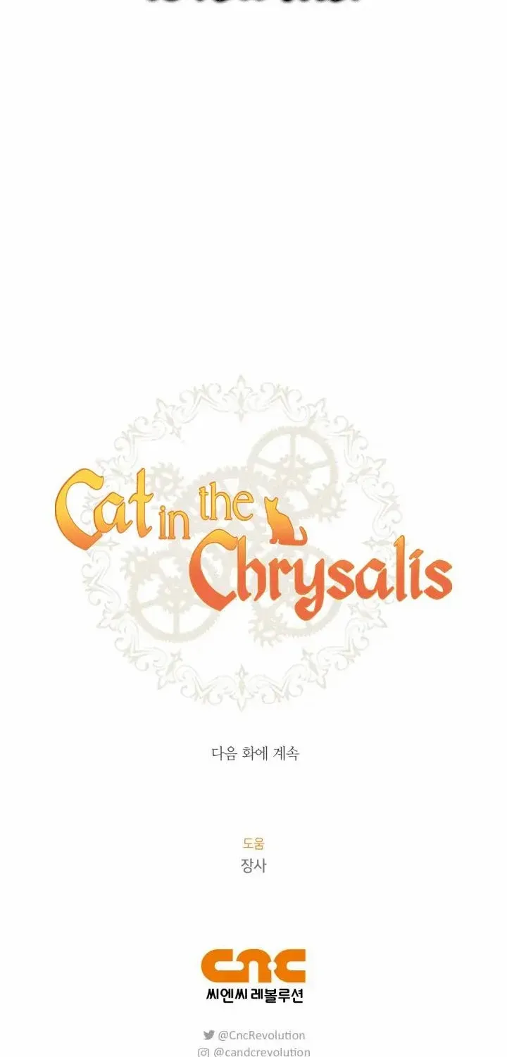 Read Cat in the Chrysalis chapter 49 image 65 on Lezhin